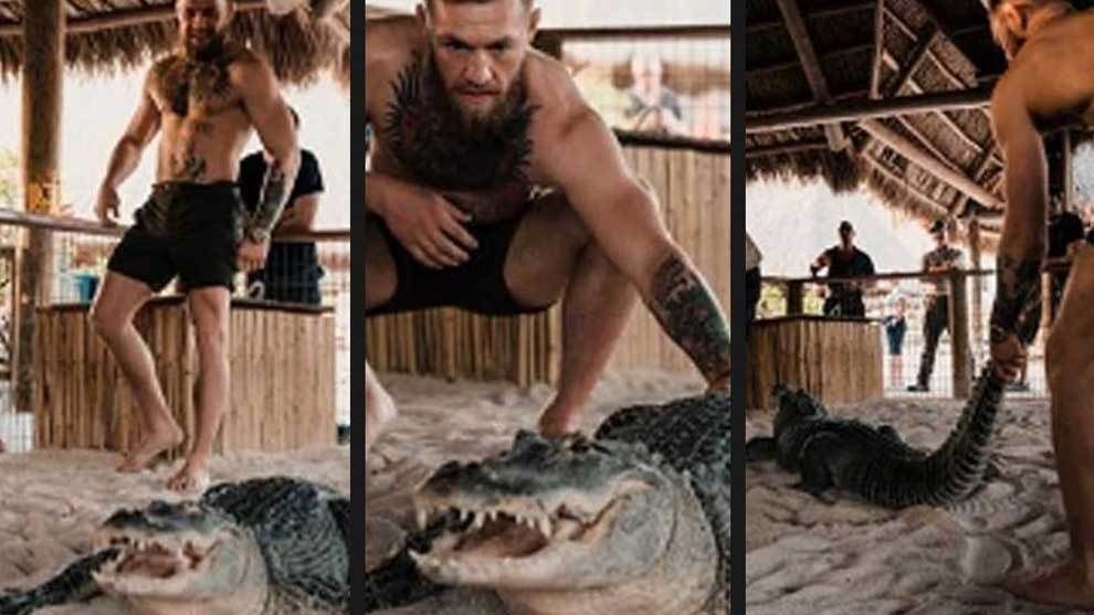 Imagini SOCANTE! Conor McGregor a intrat in ring cu un aligator! Galerie FOTO_12