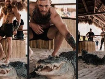 
	Imagini SOCANTE! Conor McGregor a intrat in ring cu un aligator! Galerie FOTO
