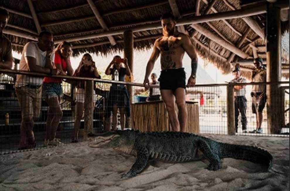 Imagini SOCANTE! Conor McGregor a intrat in ring cu un aligator! Galerie FOTO_4