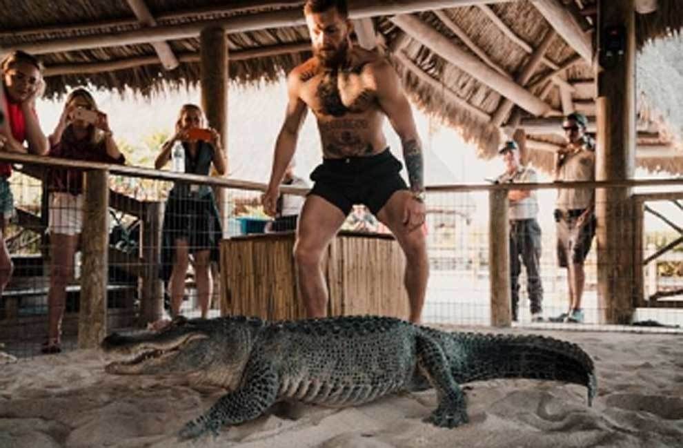 Imagini SOCANTE! Conor McGregor a intrat in ring cu un aligator! Galerie FOTO_7
