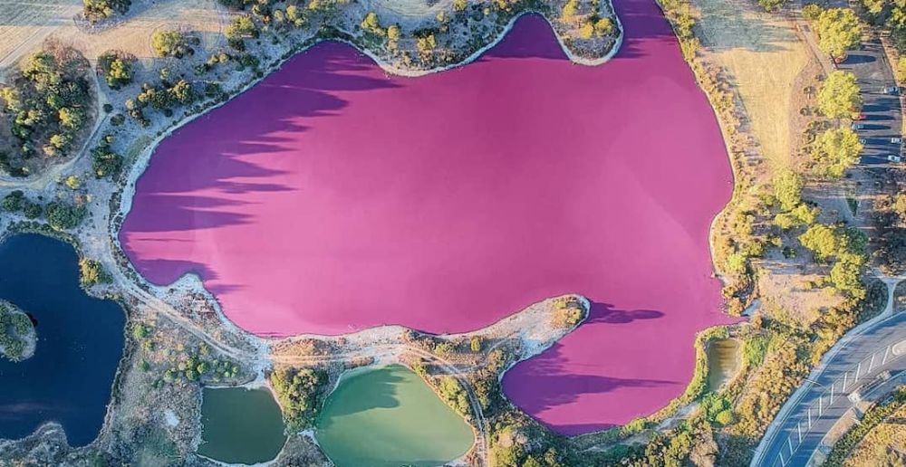 Imagini uimitoare: Motivul pentru care apa unui lac devine roz in fiecare an_9