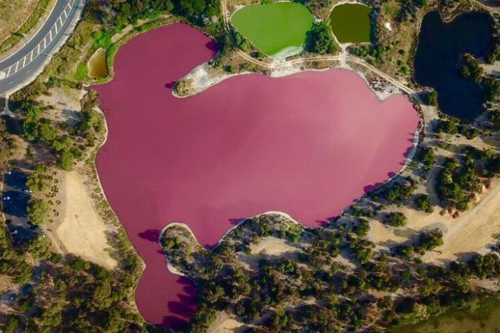 Imagini uimitoare: Motivul pentru care apa unui lac devine roz in fiecare an_1