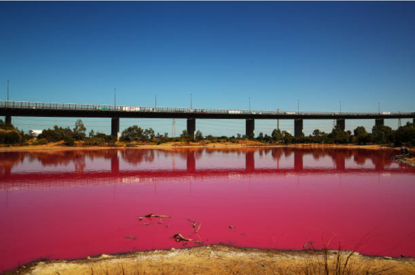 Imagini uimitoare: Motivul pentru care apa unui lac devine roz in fiecare an_3