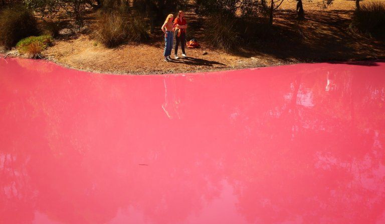 Imagini uimitoare: Motivul pentru care apa unui lac devine roz in fiecare an_2