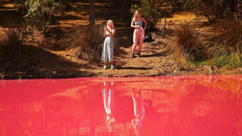 Imagini uimitoare: Motivul pentru care apa unui lac devine roz in fiecare an_6