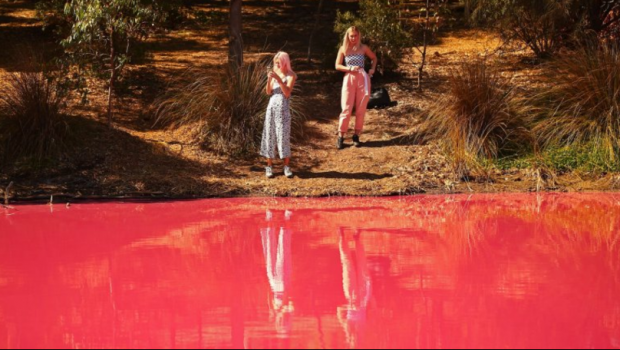 Imagini uimitoare: Motivul pentru care apa unui lac devine roz in fiecare an
