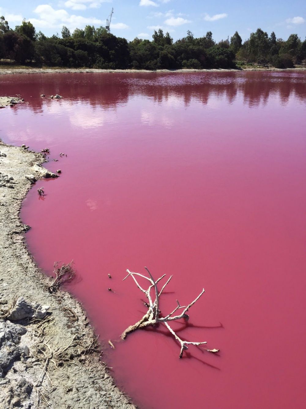 Imagini uimitoare: Motivul pentru care apa unui lac devine roz in fiecare an_4