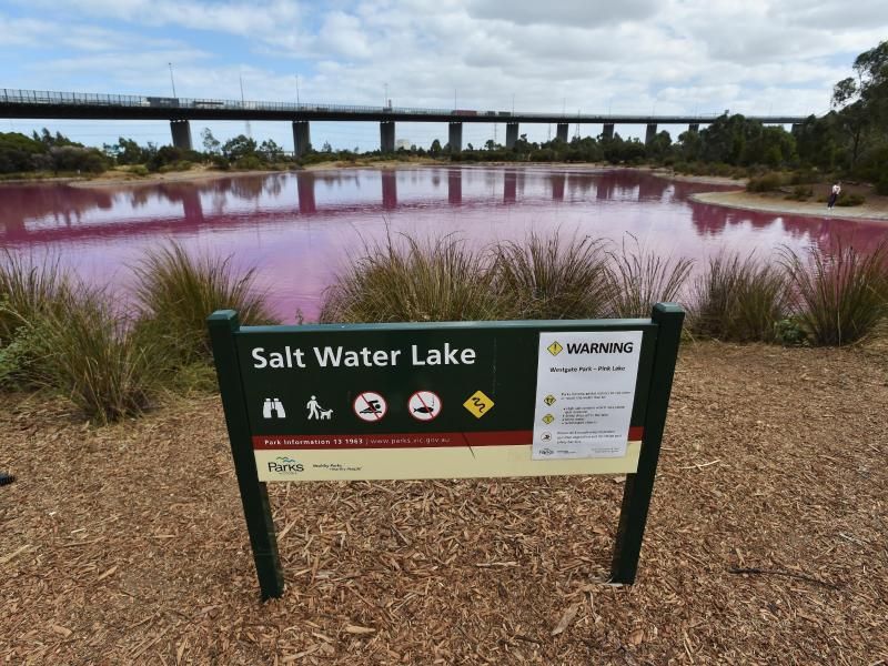 Imagini uimitoare: Motivul pentru care apa unui lac devine roz in fiecare an_5