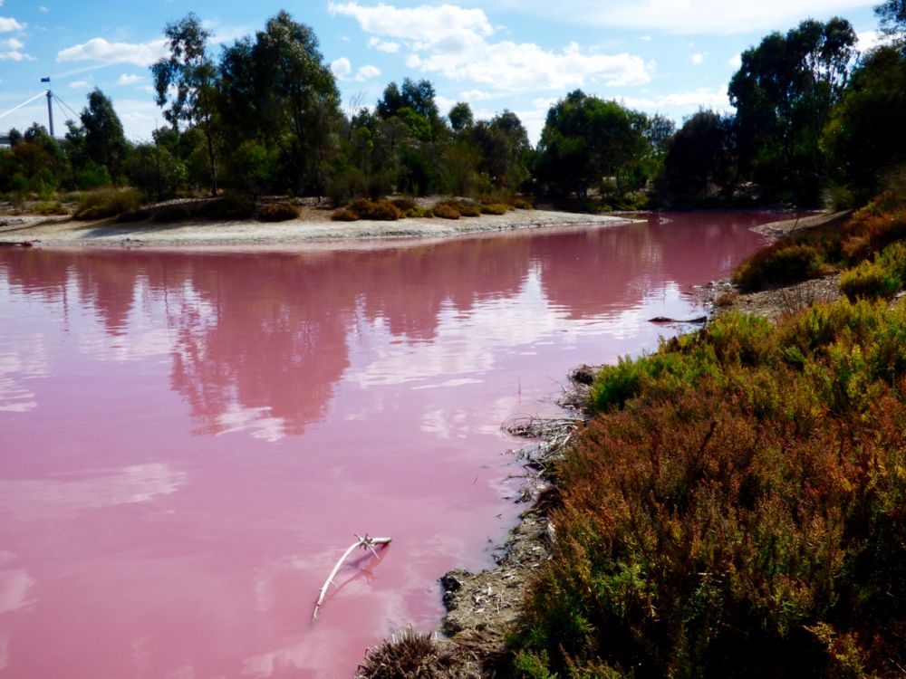 Imagini uimitoare: Motivul pentru care apa unui lac devine roz in fiecare an_7