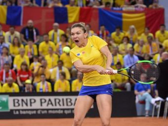
	FRANTA - ROMANIA FED CUP | Simona Halep, prima reactie dupa victoria FABULOASA cu Caroline Garcia! &quot;De asta sunt aici, sa lupt pana in ultima clipa&quot;
