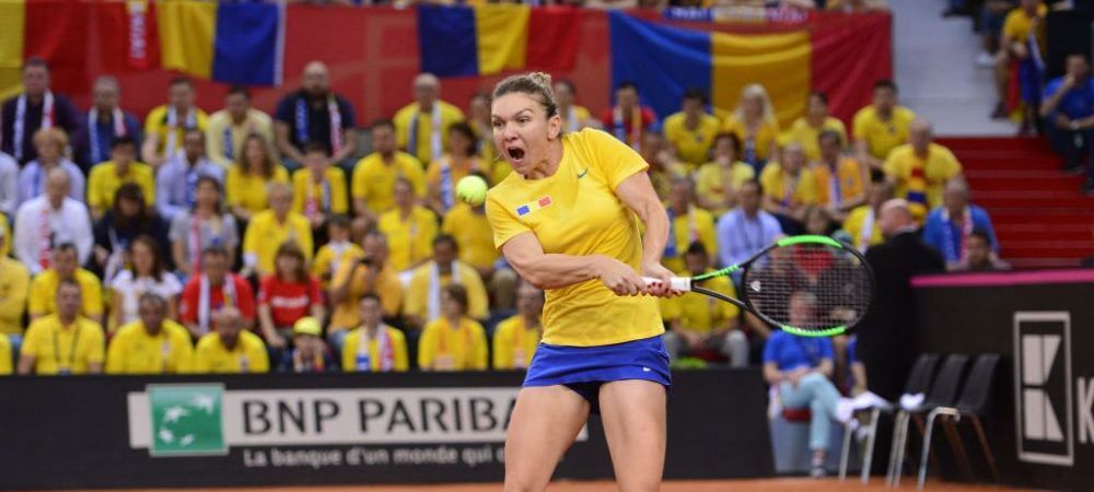 Franta - Romania FED Cup Caroline Garcia Dublu lupta Simona Halep
