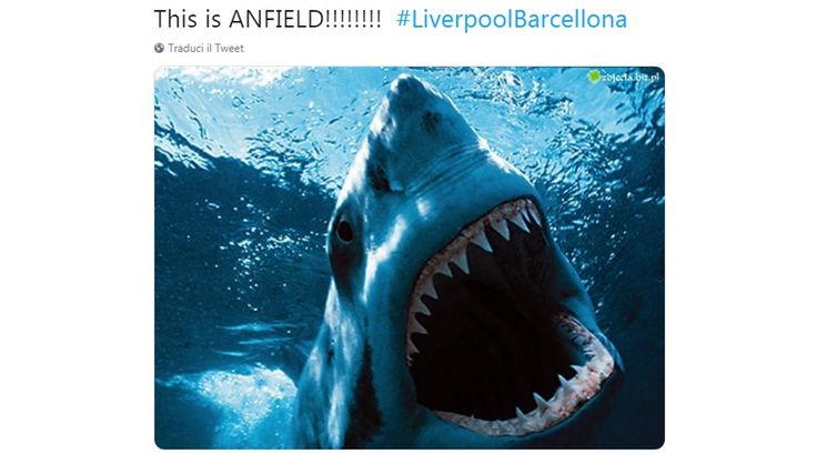 "V-am spus ca sunt periculosi cormoranii" Internetul a EXPLODAT dupa victoria lui Liverpool cu Barcelona. Cele mai tari glume. FOTO_30