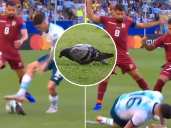 
	FAZA ZILEI la Copa America: mijlocasul Argentinei, deposedat de un porumbel! :) VIDEO
