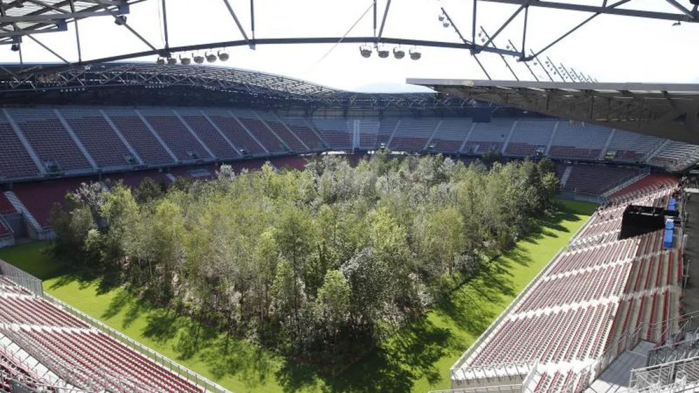 Stadion de EURO transformat intr-o PADURE! Motivul pentru care au plantat copaci pe gazon. FOTO_1