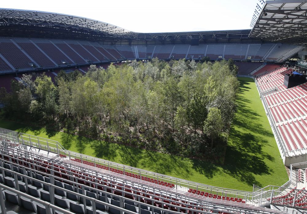 Stadion de EURO transformat intr-o PADURE! Motivul pentru care au plantat copaci pe gazon. FOTO_2