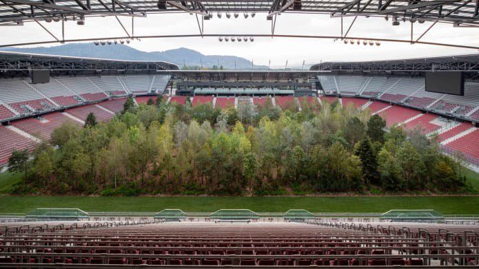 Stadion de EURO transformat intr-o PADURE! Motivul pentru care au plantat copaci pe gazon. FOTO_3