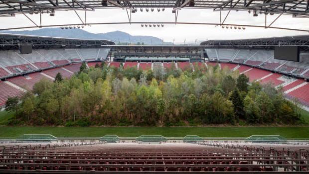 
	Stadion de EURO transformat intr-o PADURE! Motivul pentru care au plantat copaci pe gazon. FOTO
