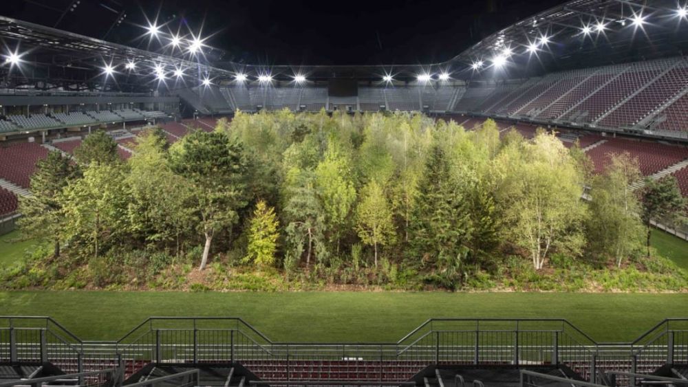 Stadion de EURO transformat intr-o PADURE! Motivul pentru care au plantat copaci pe gazon. FOTO_5