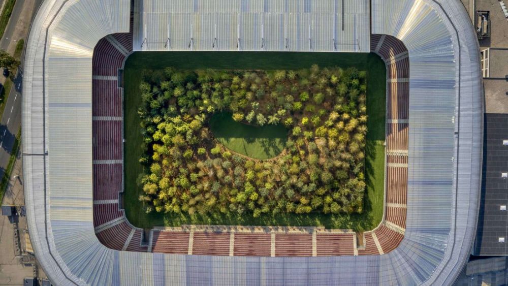 Stadion de EURO transformat intr-o PADURE! Motivul pentru care au plantat copaci pe gazon. FOTO_6