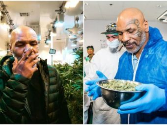
	Noua viata a lui Mike Tyson! La 53 de ani si dupa un faliment personal, Iron Mike a ajuns fermier. Cultiva Marijuana intr-un paradis din Caraibe :)

