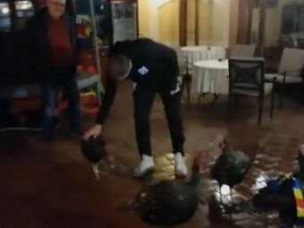
	Video fabulos: Gica Craioveanu a primit 4 curcani. Povestea amuzanta din spatele cadoului
