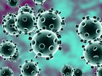 
	&quot;Epidemia va dura pana in primavara anului 2021!&quot; Anunt incredibil din Marea Britanie! Documentul despre coronavirus care a iesit la iveala

