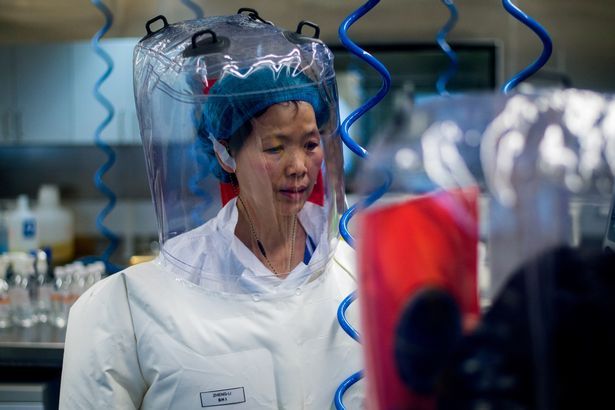 Laboratorul din Wuhan care pastreaza mai mult de 1.500 de tulpini de virusuri mortale! Cum arata locul de unde ar fi fost 'scapat' coronavirusul_1