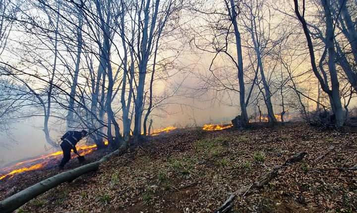 Tragedie imensa in Hunedoara. O persoana a murit arsa si un incendiu urias mistuie dezlantuit padurile din judet!_2