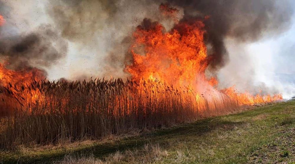 Tragedie imensa in Hunedoara. O persoana a murit arsa si un incendiu urias mistuie dezlantuit padurile din judet!_4