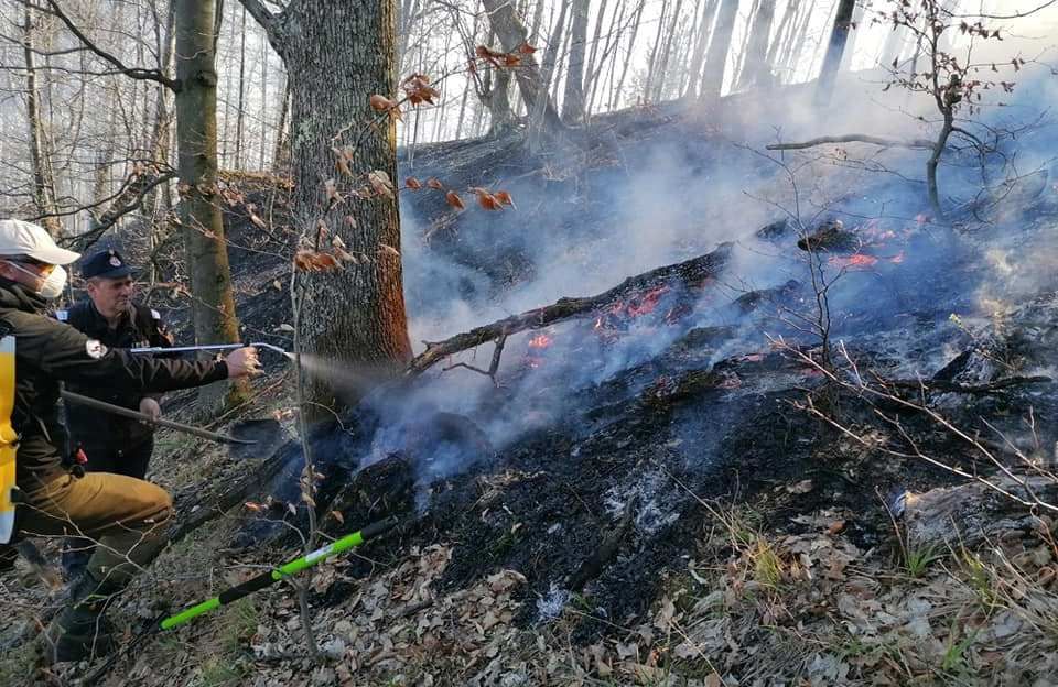 Tragedie imensa in Hunedoara. O persoana a murit arsa si un incendiu urias mistuie dezlantuit padurile din judet!_6