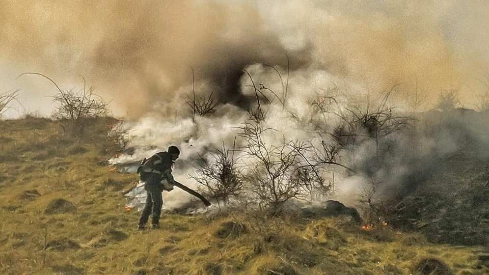 Tragedie imensa in Hunedoara. O persoana a murit arsa si un incendiu urias mistuie dezlantuit padurile din judet!_7