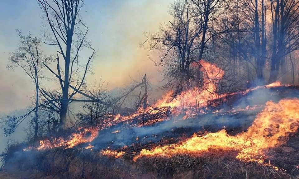 Tragedie imensa in Hunedoara. O persoana a murit arsa si un incendiu urias mistuie dezlantuit padurile din judet!_8