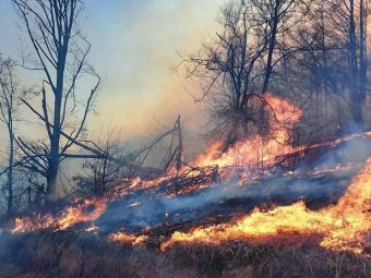 
	Tragedie imensa in Hunedoara. O persoana a murit arsa si un incendiu urias mistuie dezlantuit padurile din judet!
