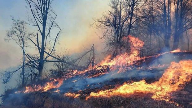 
	Tragedie imensa in Hunedoara. O persoana a murit arsa si un incendiu urias mistuie dezlantuit padurile din judet!
