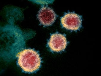 Coronavirusul ar exista in trei tipuri de tulpini diferite, raspandite pe toata planeta! Anuntul expertilor&nbsp;