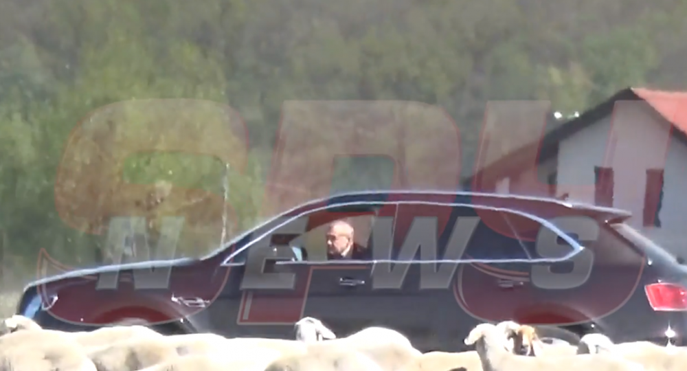 IMAGINILE MOMENTULUI! Gigi Becali a iesit sa isi plimbe oile cu bolidul de 200 de mii de euro! Cum a fost surprins patronul FCSB in timp ce isi "inspecta" mioarele_8