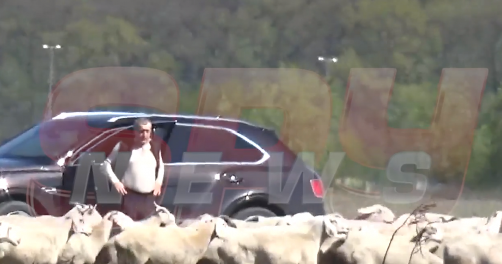 IMAGINILE MOMENTULUI! Gigi Becali a iesit sa isi plimbe oile cu bolidul de 200 de mii de euro! Cum a fost surprins patronul FCSB in timp ce isi "inspecta" mioarele_9