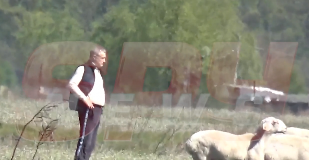 IMAGINILE MOMENTULUI! Gigi Becali a iesit sa isi plimbe oile cu bolidul de 200 de mii de euro! Cum a fost surprins patronul FCSB in timp ce isi "inspecta" mioarele_10