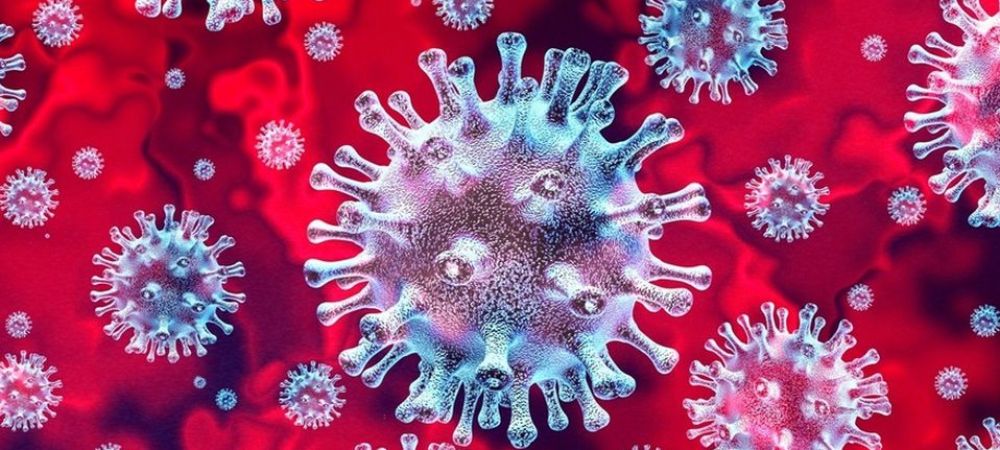 coronavirus virale