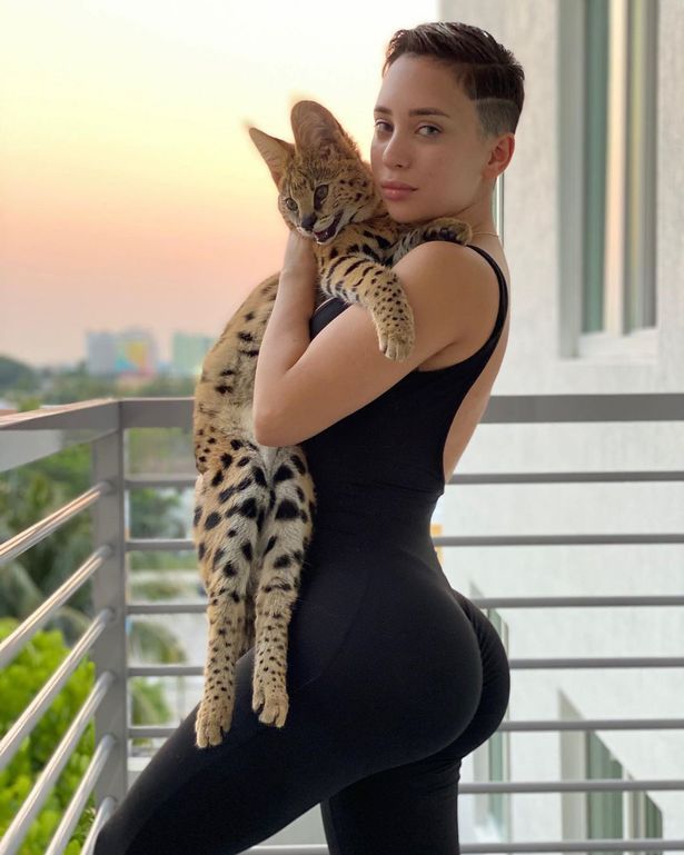 Cea mai BOGATA pisica de pe Instagram! Stapana ii face toate poftele si cheltuie zeci de mii de dolari pentru ea: cat costa doar mancarea_3