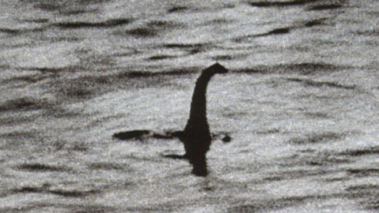SOCANT! Monstrul din Loch Ness, vazut in timpul unei excursii cu barca! Oamenii au ramas fara cuvinte: "Avea cel putin 10 metri!"_3