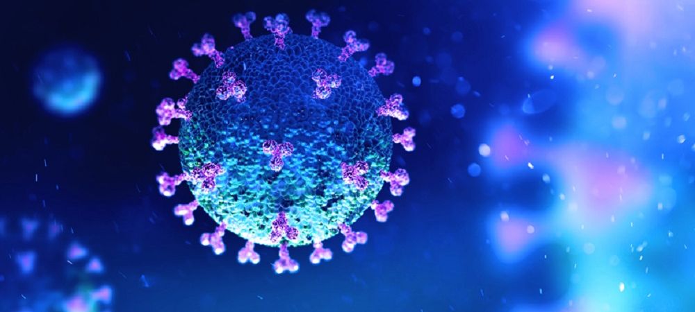 coronavirus gripa aviara Marea Britanie pandemie studiu