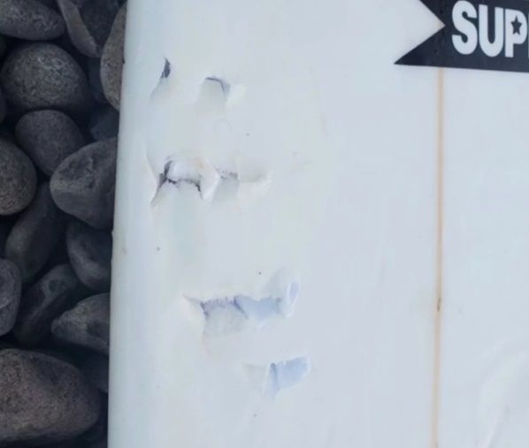 Un surfer MUSCAT de un rechin a scapat MIRACULOS. Urmele atacului sunt INFIORATOARE_2