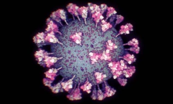 Asta e ADEVARATA FATA a coronavirusului! Imaginea REALA cu cel mai mare DUSMAN al planetei a iesit la suprafata_1