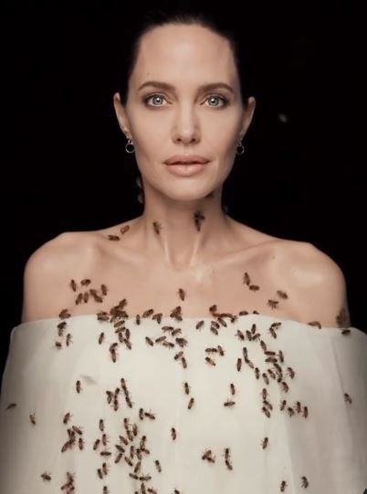 Imaginile cu Angelina Jolie care fac inconjurul lumii! S-a acoperit de albine dupa ce a stat trei zile fara sa se spele! Care a fost motivul_1