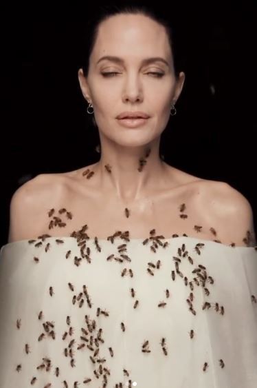 Imaginile cu Angelina Jolie care fac inconjurul lumii! S-a acoperit de albine dupa ce a stat trei zile fara sa se spele! Care a fost motivul_2
