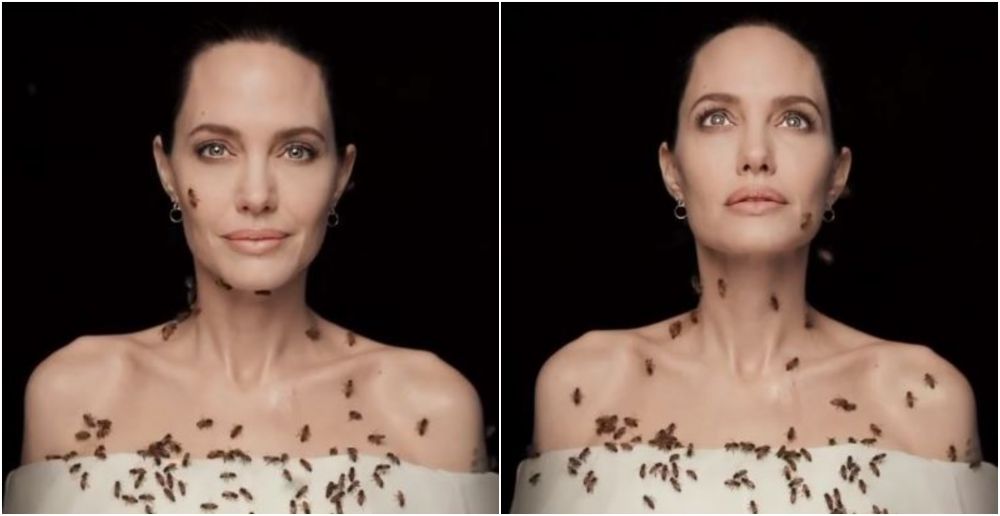 Imaginile cu Angelina Jolie care fac inconjurul lumii! S-a acoperit de albine dupa ce a stat trei zile fara sa se spele! Care a fost motivul_11