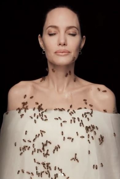 Imaginile cu Angelina Jolie care fac inconjurul lumii! S-a acoperit de albine dupa ce a stat trei zile fara sa se spele! Care a fost motivul_3