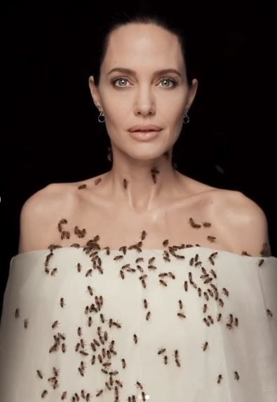 Imaginile cu Angelina Jolie care fac inconjurul lumii! S-a acoperit de albine dupa ce a stat trei zile fara sa se spele! Care a fost motivul_4