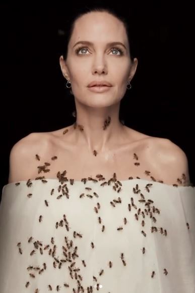 Imaginile cu Angelina Jolie care fac inconjurul lumii! S-a acoperit de albine dupa ce a stat trei zile fara sa se spele! Care a fost motivul_6